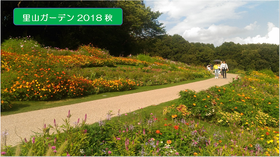 こまち第一回運営委員会を開催。お祭りもの画像