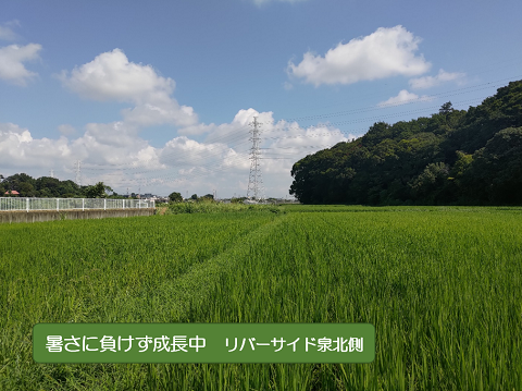 巨大地震注意発表の画像